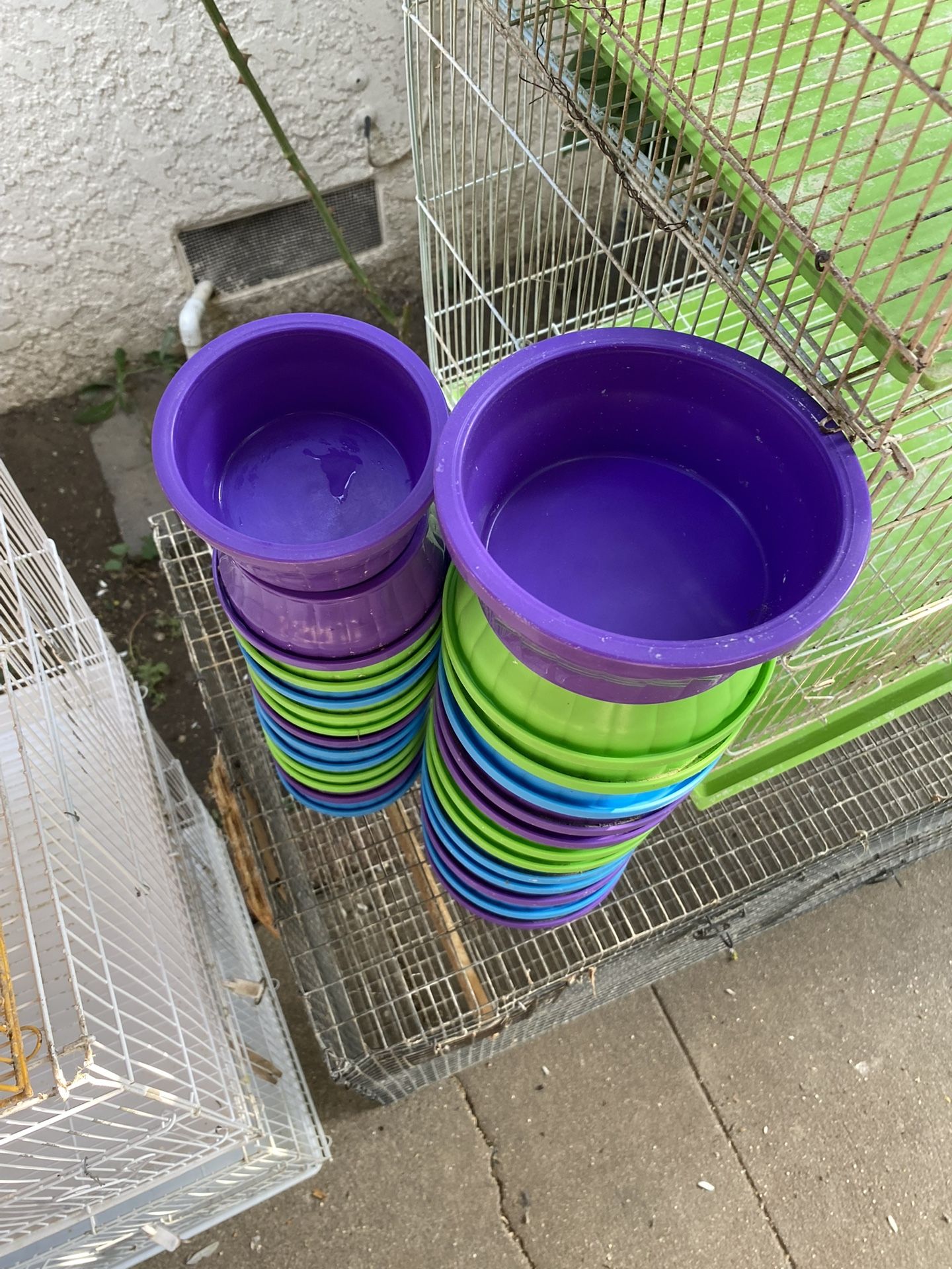 Bird Feeders