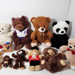 Soft & Cuddly Teddy Bears Lot