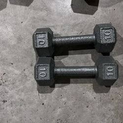 10lb Dumbbells 