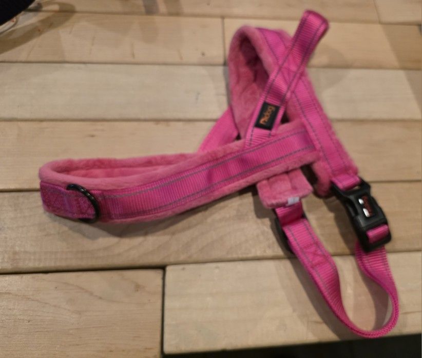 Dog Harness