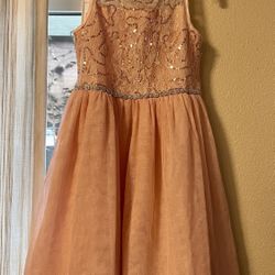 Size 6t Dress