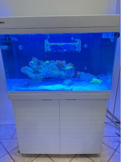 Free Red Sea Max 250 Free Tank/Stand
