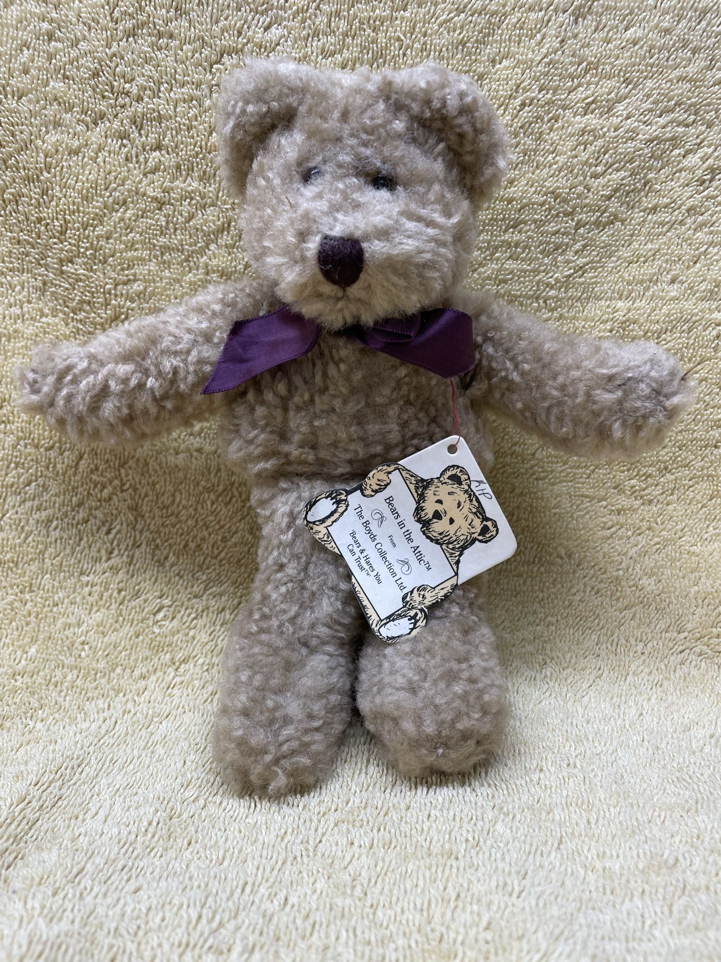 Boyd’s Bear “Kip”