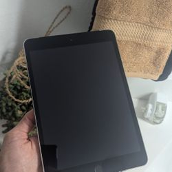 iPad Mini 3