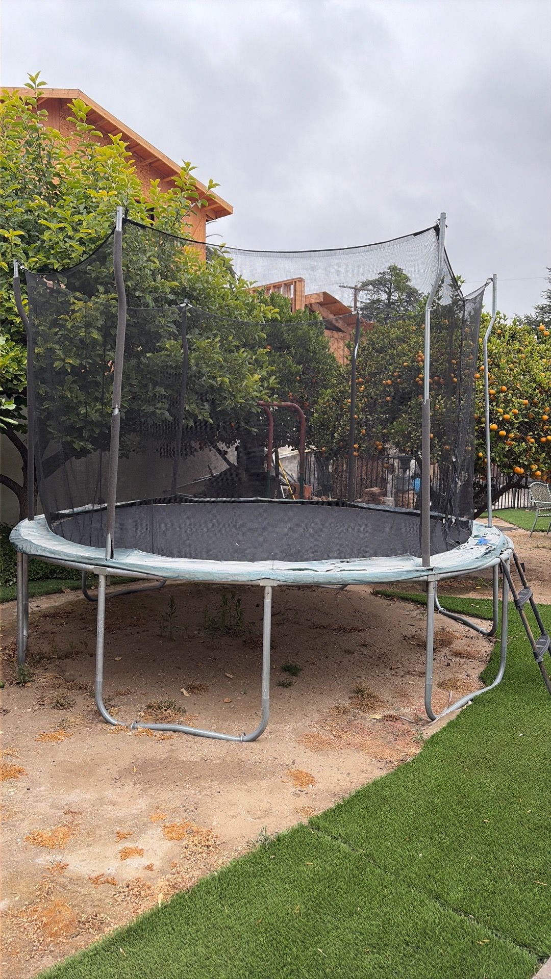 Trampoline free