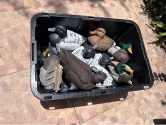 Hunting duck decoys
