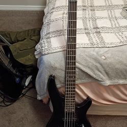 5 string bass 