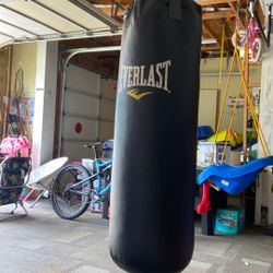 Punching Bag Everlast 