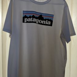 Patagonia Men's T-shirt 