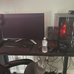 Alienware 32 4K QD-OLED Gaming Monitor - AW3225QF