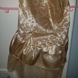 Gold Fancy dog Dress 