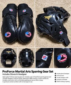 ProForce Thunder Martial Arts Sparring Gear Set – Gloves & Headgear