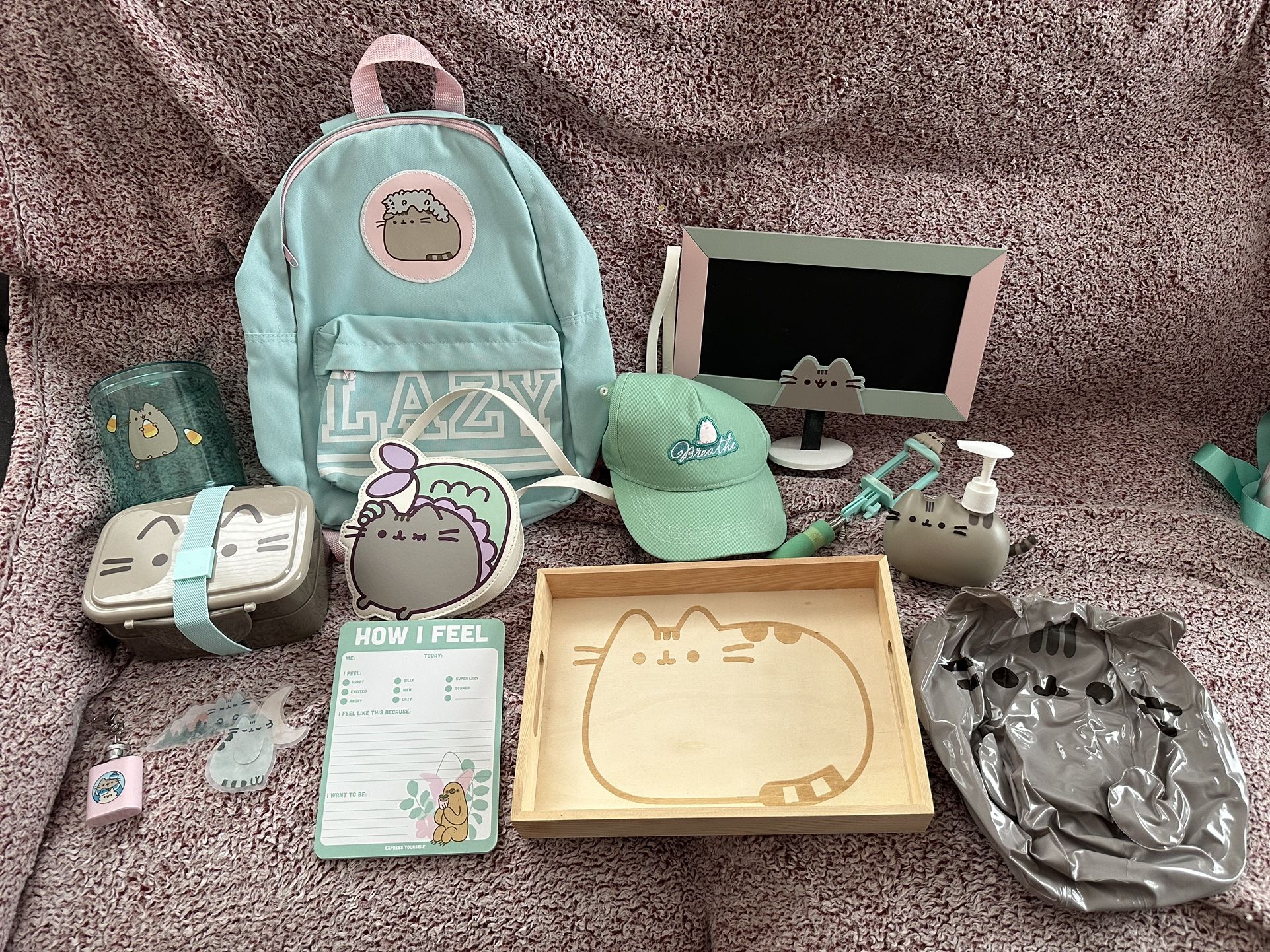 Pusheen Box Exclusive Items #4 — Back To School And Miscellaneous Home Items
