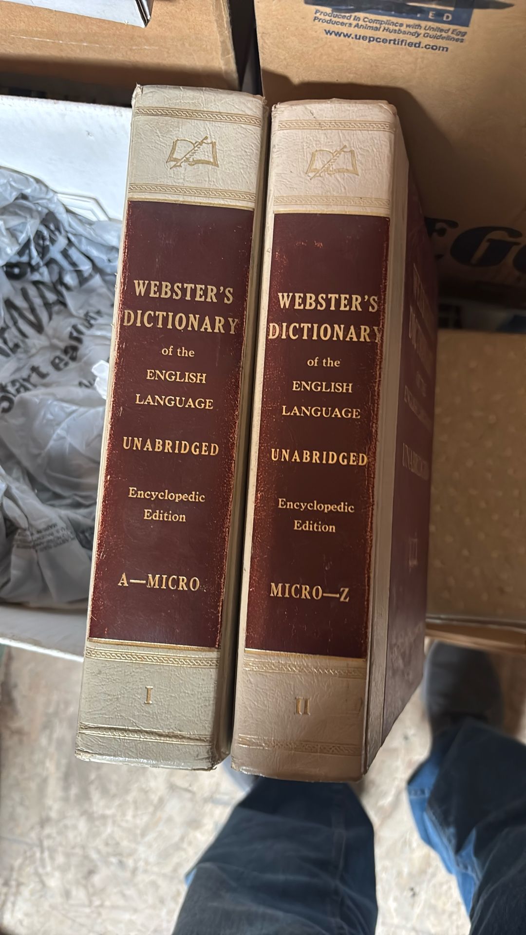 Webster Dictionary Of The English Encyclopedic