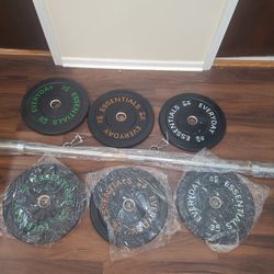 Everyday Essential Weights And Bar