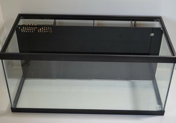 40 gallon tank