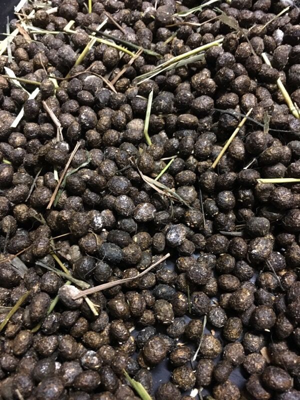 Rabbit Manure for Sale in Montebello, CA - OfferUp