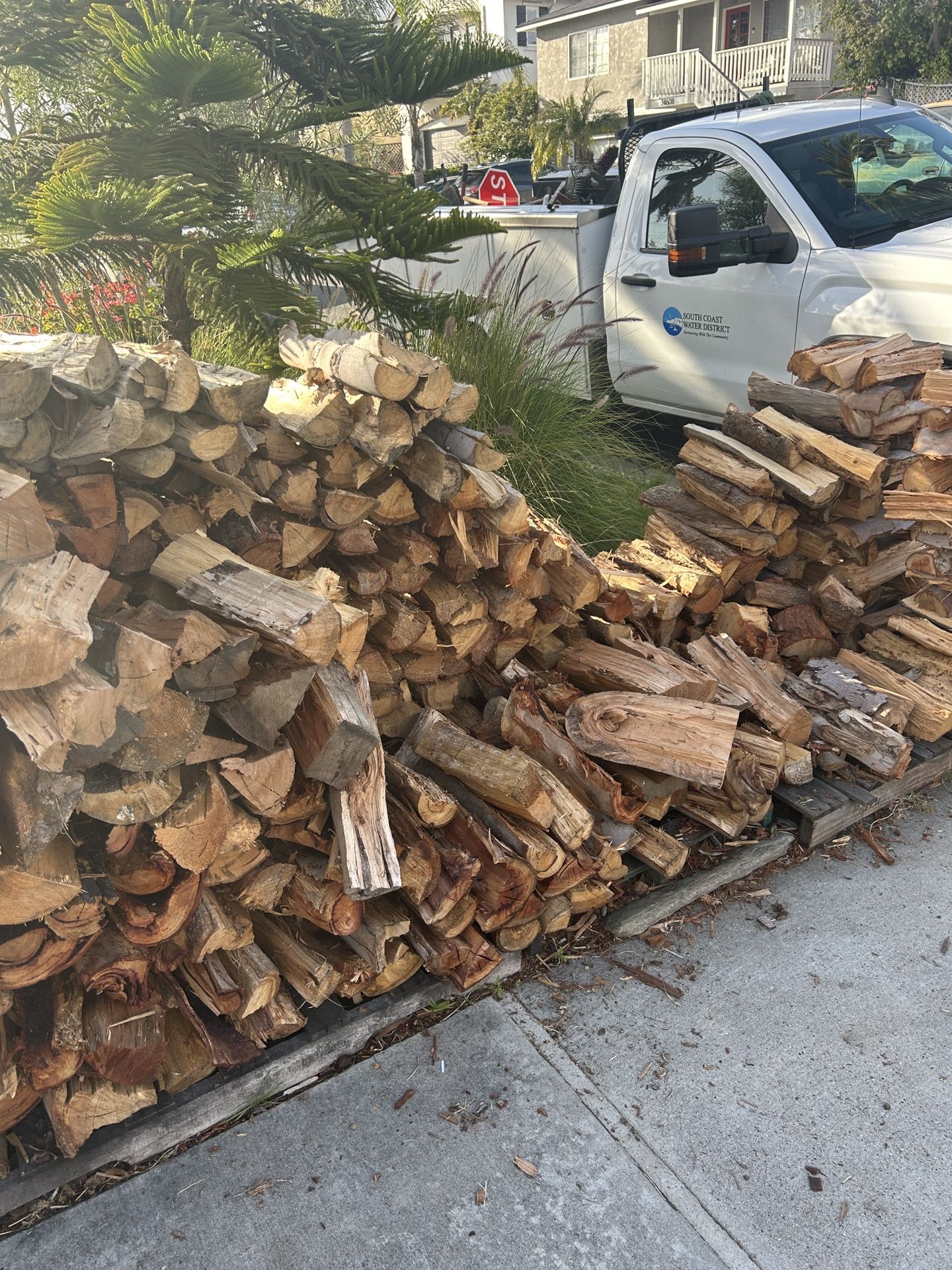 Firewood 