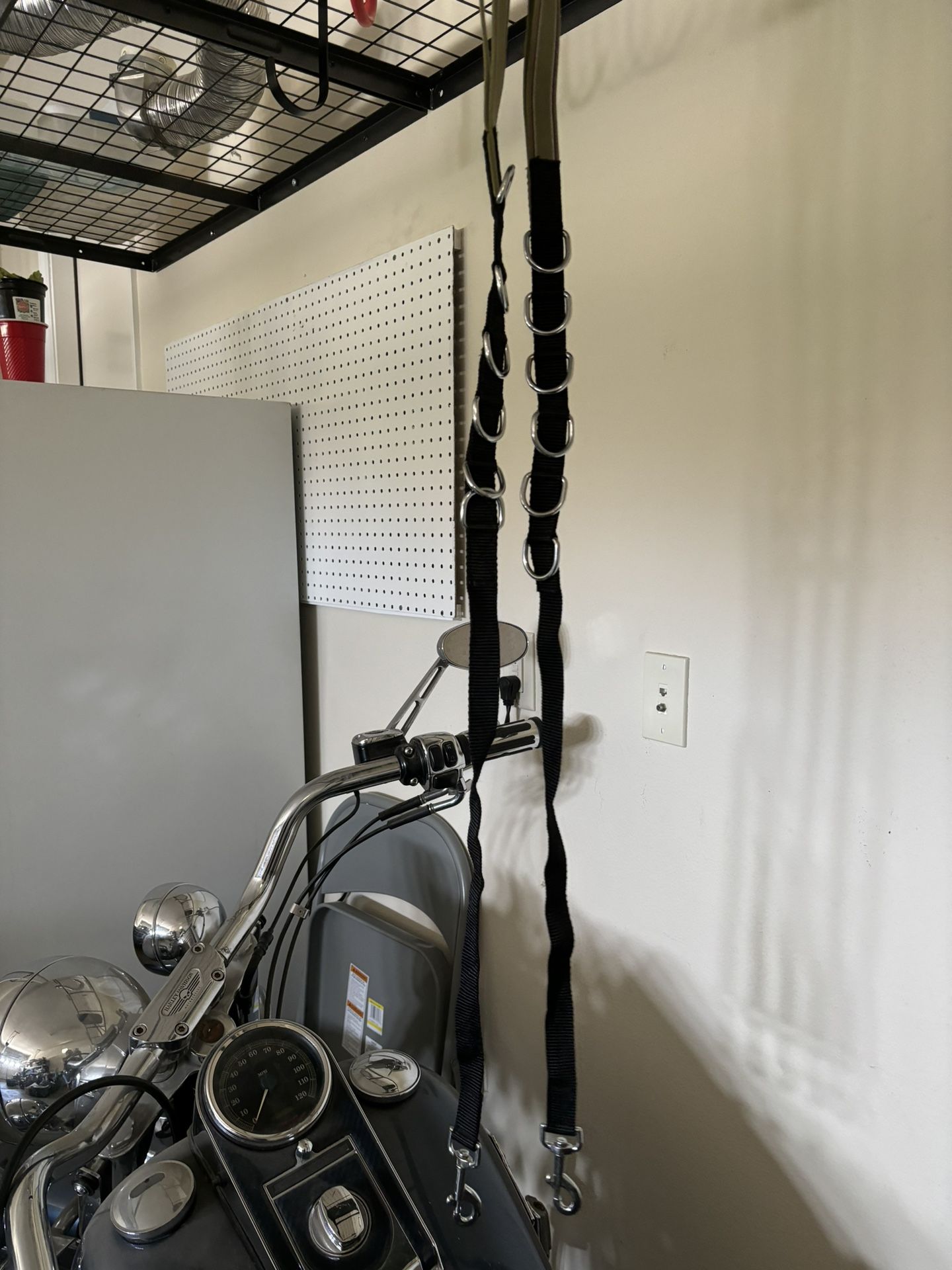 Side Reins