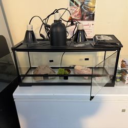 40 Gallon Glass Flip front Reptile Terrarium