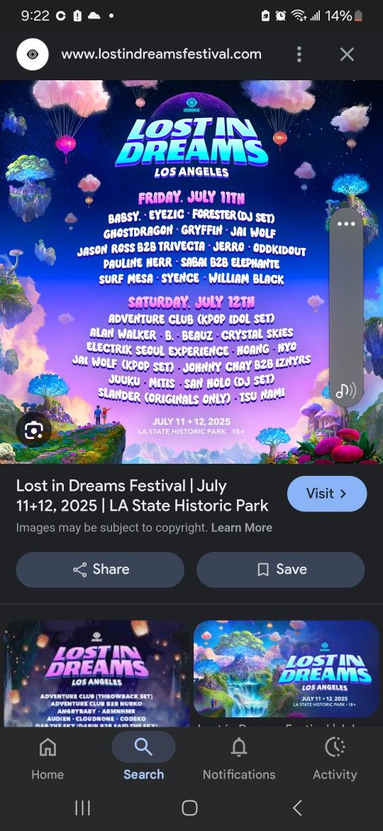 Lost In Dreams Fest