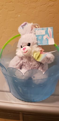 Easter Basket with Plush Easter Bunny.