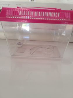 Small Fish Tank