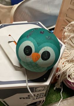 Amazon kids echo