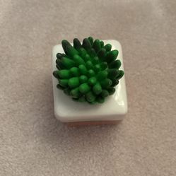 Succulent Decoration
