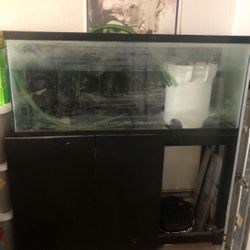 Fish Tank- This Weekend Only $100! 5/5