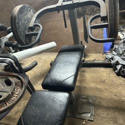 weight Bench and weights