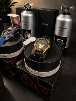Citizen Eco-Drive Disney Mickey Watch (Model BV1132-16W)