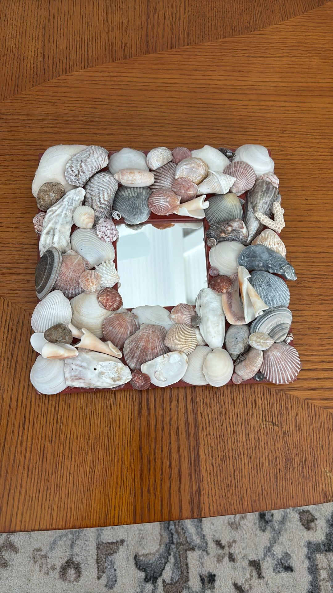 Shell Mirror