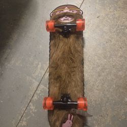 Santa Cruz X Jeremy Fish Skateboard