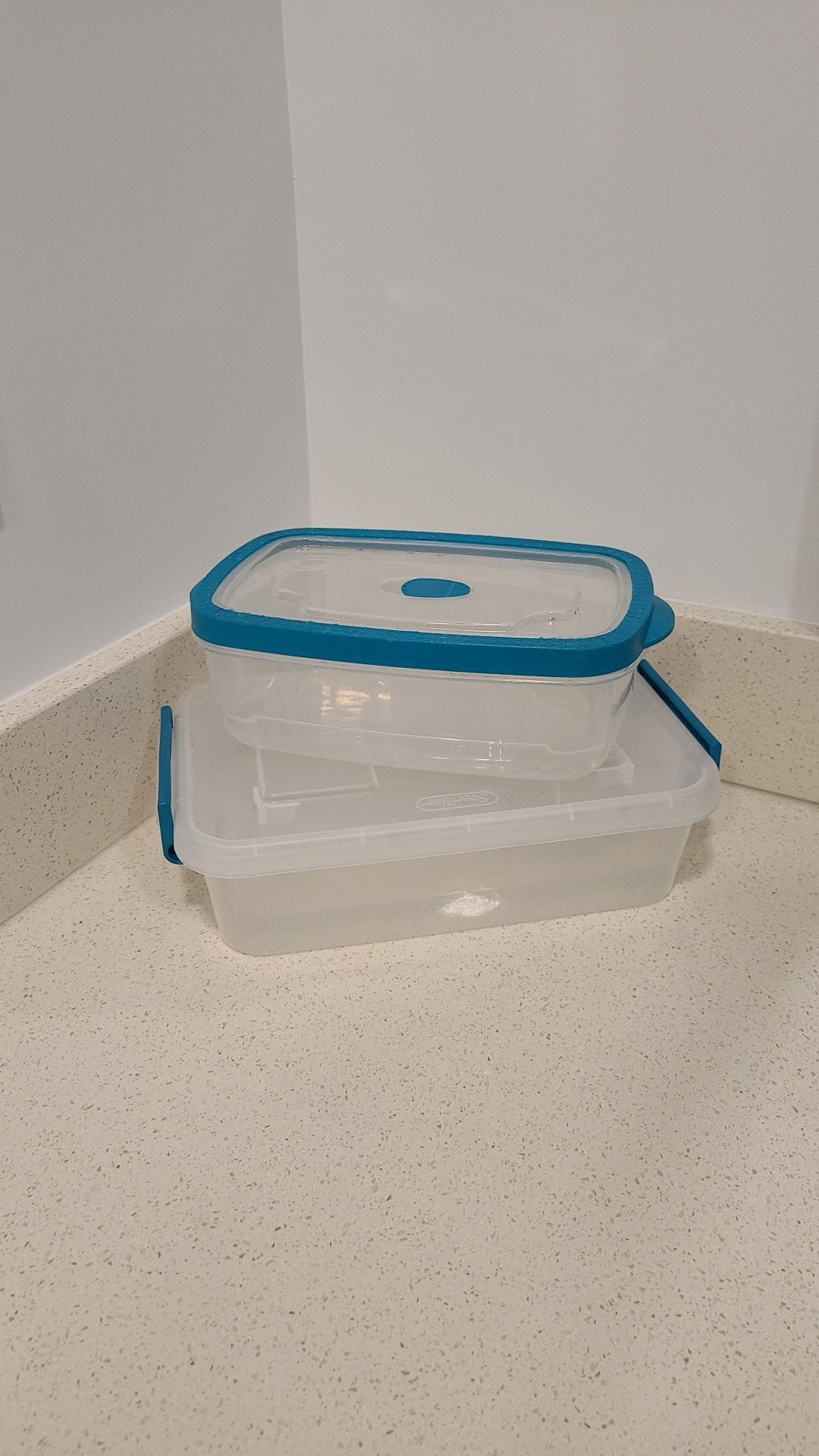 Teal Clear Plastic Containers