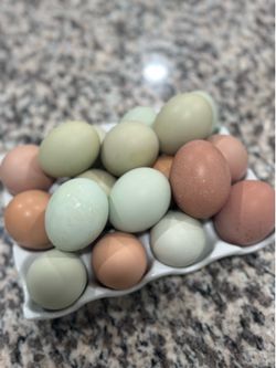 Farm Fresh Eggs