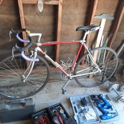 Gluterotti Road Bike 