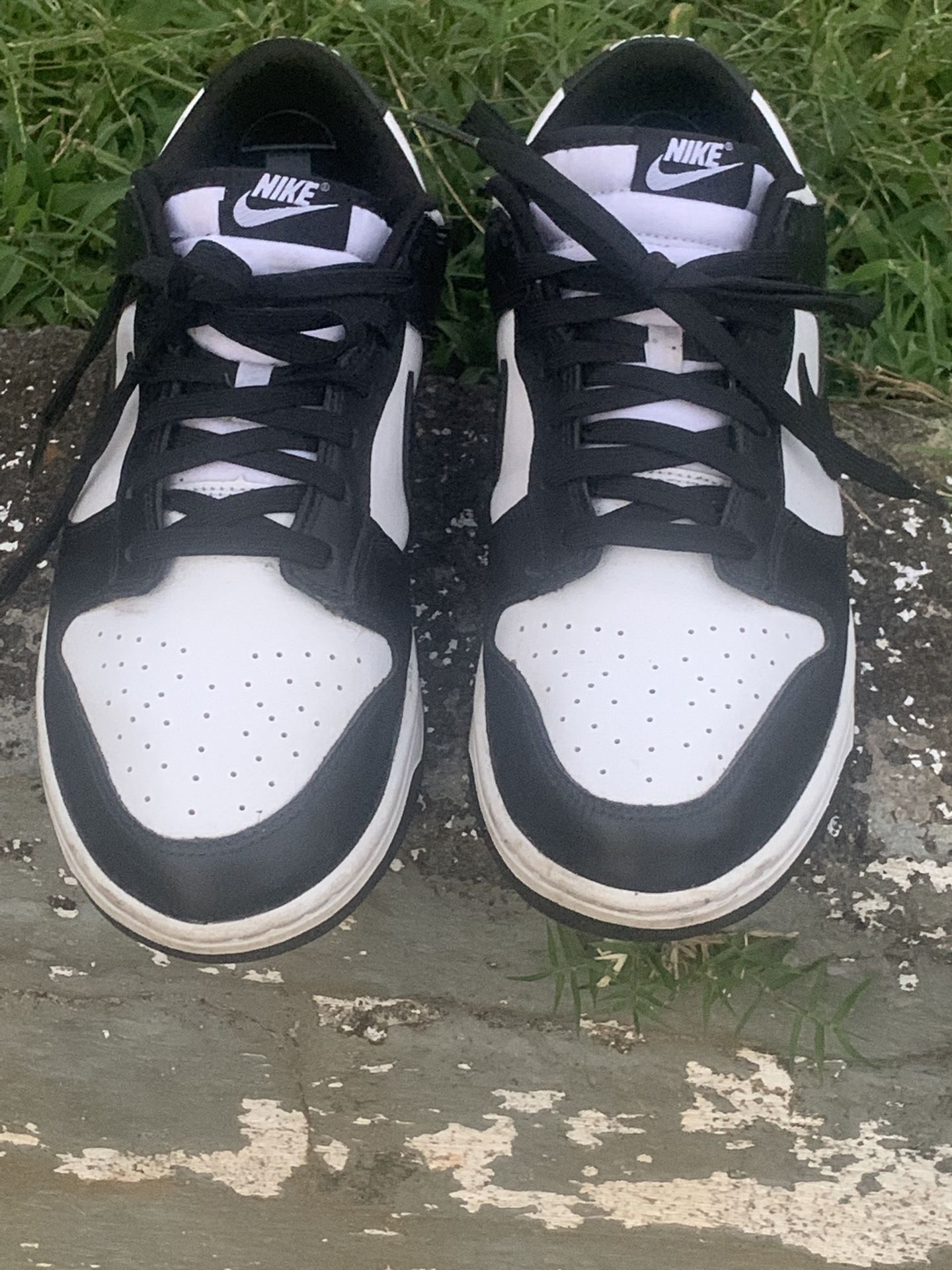 Nike Dunk Men