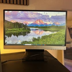 HP 22” Monitor