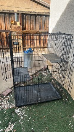 Cage