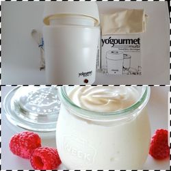Electric Yogurt Maker "yogourmet Multi" Hacer Yogurt