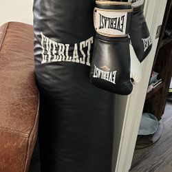 Everlast Punching Bag 