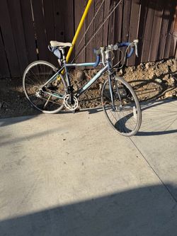Trek 1.1 road bike