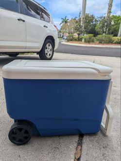 Cooler