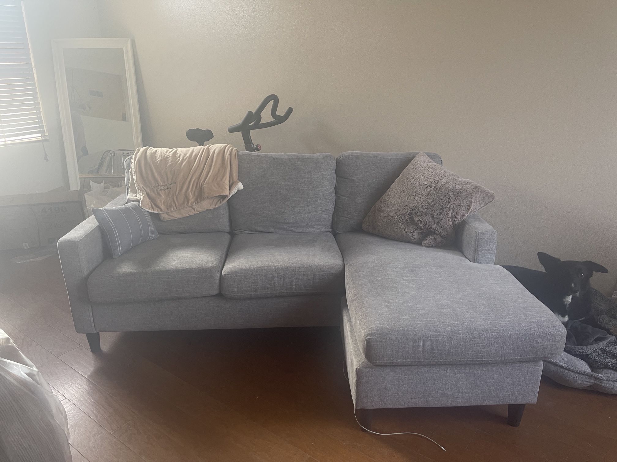 Grey Sectional 