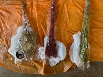 Dried Floral Grass, Palm Spears, Pasto Seco Hojas de Palma, Millet, Phalaris lot Craft DIY
