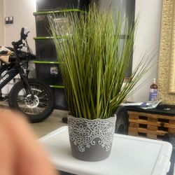 Fake Plant