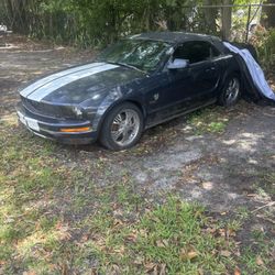 2009 Ford Mustang