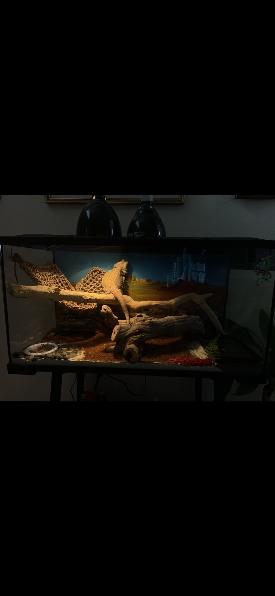Reptile enclosure W/ Stand + Lamps