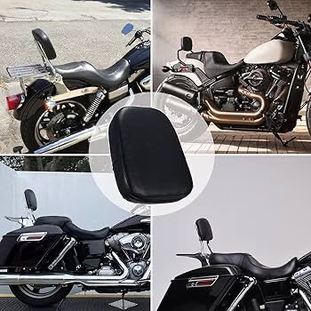 Touring Xl833 / Xl1200 Back Pad